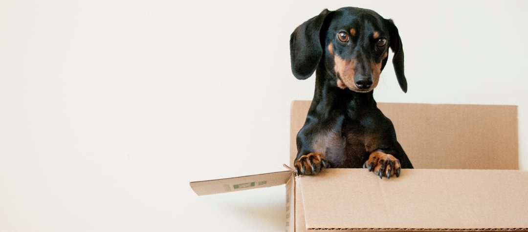 Out of the Box Marketing Strategies for Small Business
